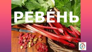 Ревень. Что это такое и с чем его едят...