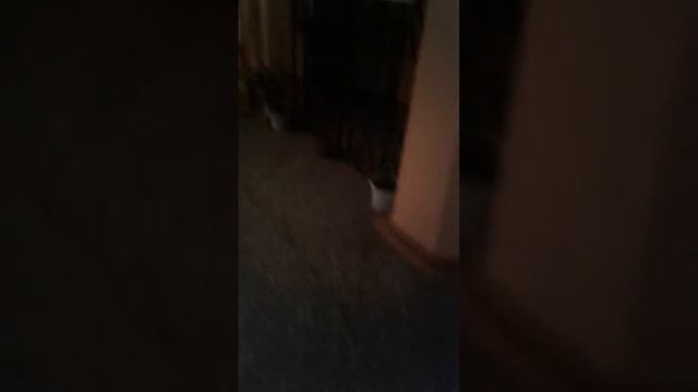 Вечерний поход в школу, спустя 18 лет... смотреть онлайн