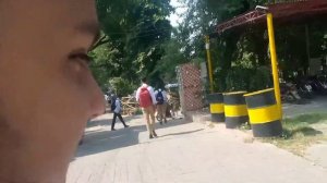 Shalimar graduate college Lahore ( college vlog) #qalbvlogs #comeback #college #shalimargarden