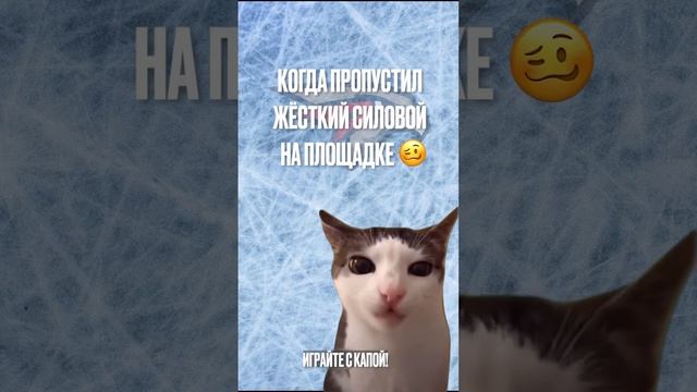 Напоминаем: безопасность прежде всего ❗️ #Авангард #хоккей #hockey #КХЛ #cat #реки #Омск #Omsk