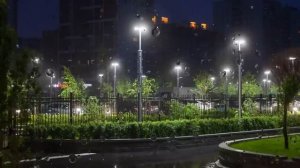 Сборник квартирных историй.