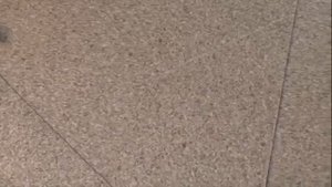 коммерческий линолеум ARMSTRONG!!! Укладка с заводом на стену