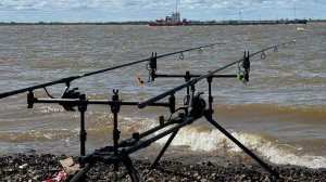 Карповая рыбалка п Верхняя Эконь Хабаровский край. Август 2023