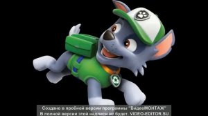 Рокки и Майя щенячий патруль