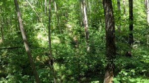 Хард Эндуро в Старом Пшенево