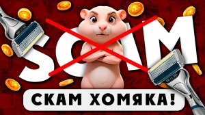 Как потапал? Крах HAMSTER KOMBAT - Рубрика «ЛОХОТРОНОЛОГИЯ»