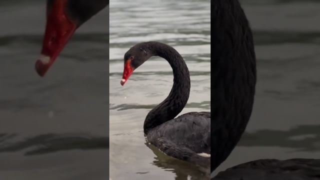 Экопарк Южный Байкал. У нас прекрасно в любую погоду #байкал#южныйбайкал#отдых