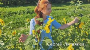 Girl. John Lennon - Paul McCartney. Сергей Литвяков. Премьера клипа, 2024.