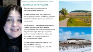 Бургундия подробнее