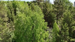 Свято-Знаменский Абалакский монастырь