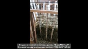 Мини КОзовник для 4 козочек 😇