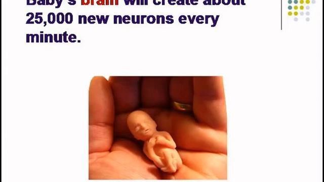 Stages Of Pregnancy Month By Month | Pregnancy Month By Month | Pregnancy Stages Month By Month смотреть онлайн