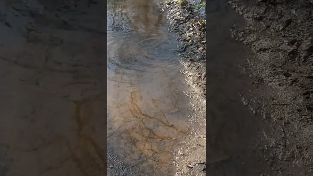 Разлив 2018 с. Передельск Луганская область