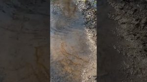 Разлив 2018 с. Передельск, Луганская область