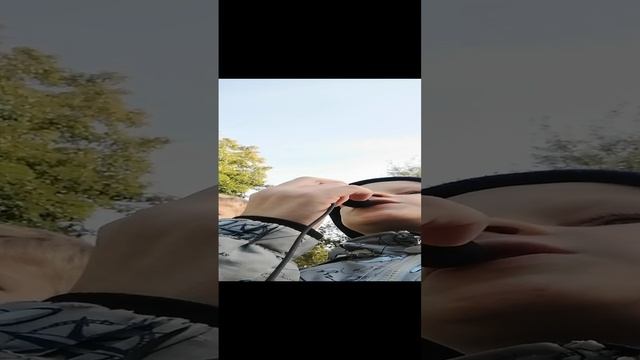 VID_20241001_151534.mp4