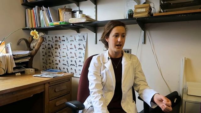 Northeast SARE Graduate Student Snapshot: Samantha Alger, University of Vermont смотреть онлайн