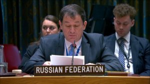 Chargé d’Affaires Dmitry Polyanskiy at UNSC briefing on the Syrian Chemical File (resolution 2118)