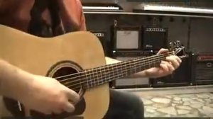 акустическая гитара HOHNER HW350