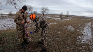 Как быстро ободрать зайца в полевых условиях?