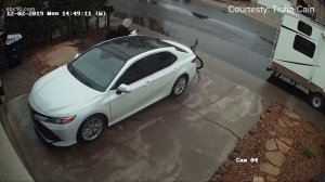 Camera spots alleged thief stealing a wallet from a car parked at home