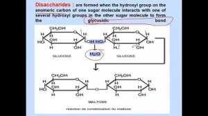 Introduction Lecture - Dr.Sameeh / Abdallah Hattab