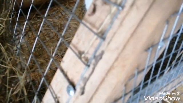 Закупка продуктов влог многодетной мамы смотреть онлайн