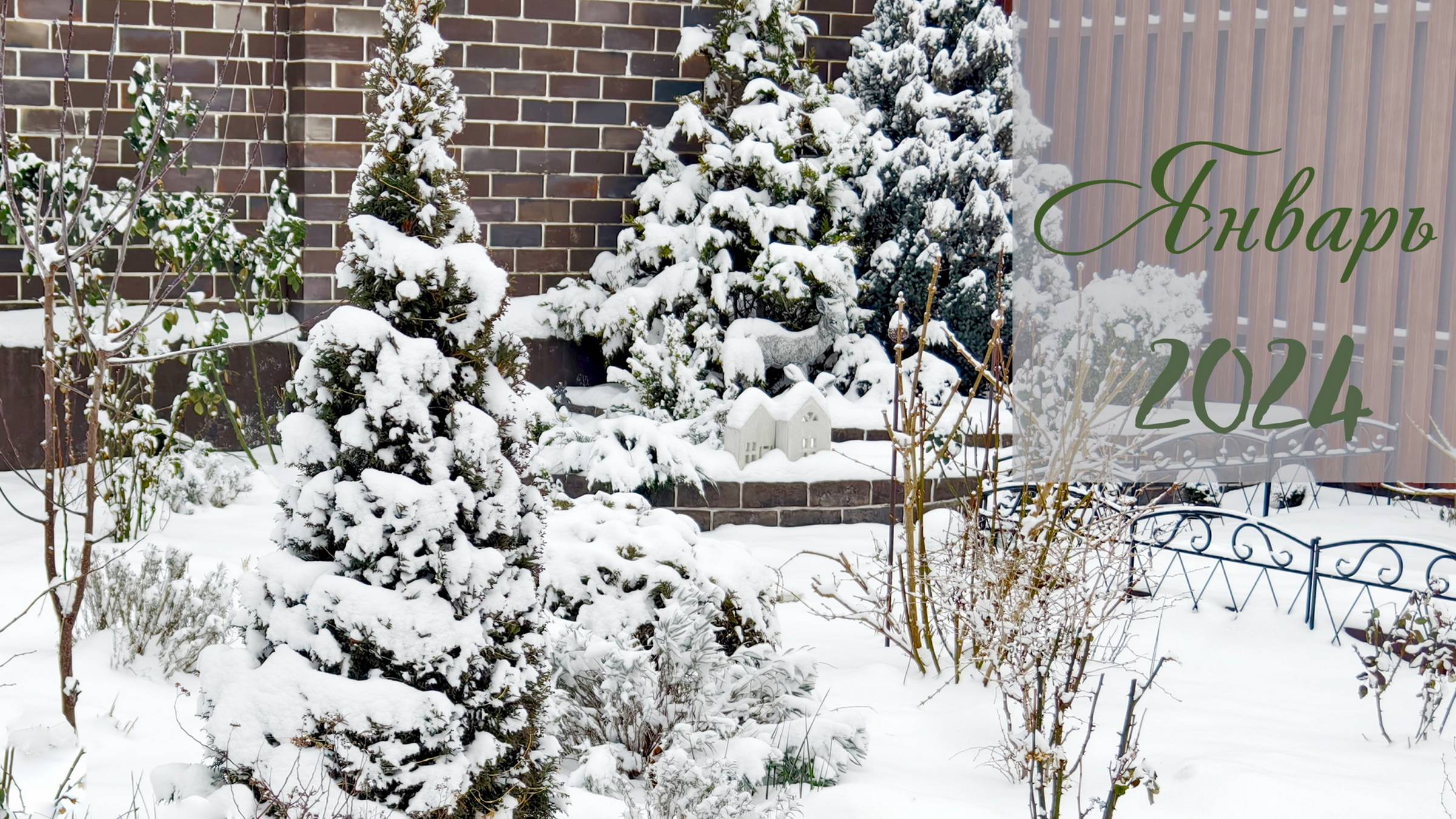 Кто еще хочет увидеть цветы в январе? /January2024