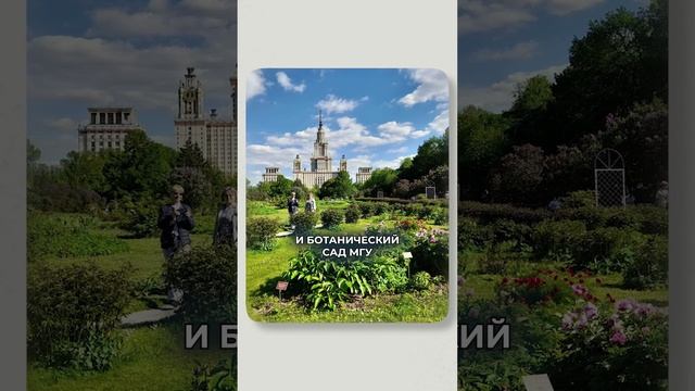 ЛУЧШИЙ район для жизни в Москве! #квартира #москва #недвижимость