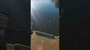 Рыбалка в Калининграде