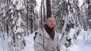 Промысел куницы// Обход путика Urnis Fishing//Hiking in the hunting area