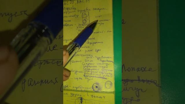 Что посеять осенью, в конце лета
