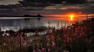 Nightwish -  Last Ride of the Day