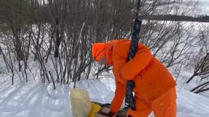 Какой пулей стрелять в зарослях из гладкоствольного оружия?