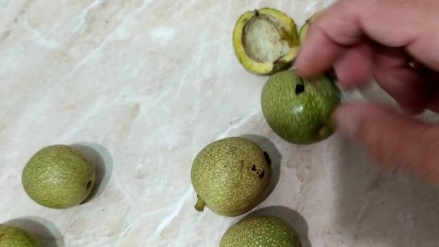 Как определить что грецкий орех поспел