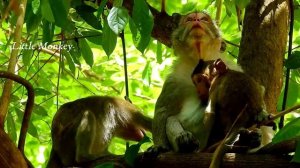 GOOD JOB!!MOM JANE STARE & BITES BRAT JANNA SO HARD CUS JANNA TRIES TO STEAL MILK BROTHER JODY!WARN