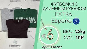 Продано! 950-057 #1774 Футболки с длинным рукавом Экстра Всесезон Европа