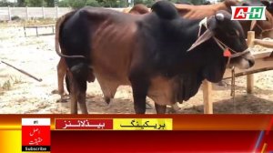 Eid ul Adha Holidays Pakistan Latest news Today 03 July Today Karachi news Date Of Eid ul adha 2022