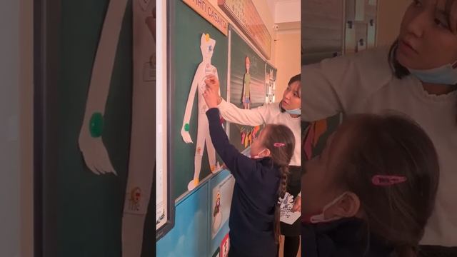 Жаратылыстану. 1сынып. Адамның дене мүшелері.