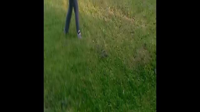 отдых