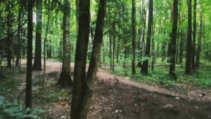 Жизнь соло. Всю жизнь в соло. Роман Трофимов