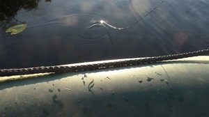 Рыбалка в Карелии! Лесное озеро. Рыбалка на самоловки!