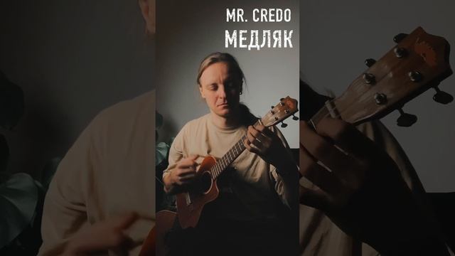 Mr. Credo - медляк #урокиукулеле