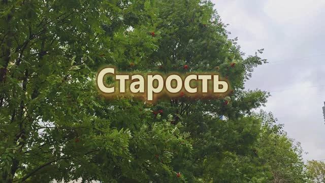 Старость. Стихи Ларисы Рубальской.