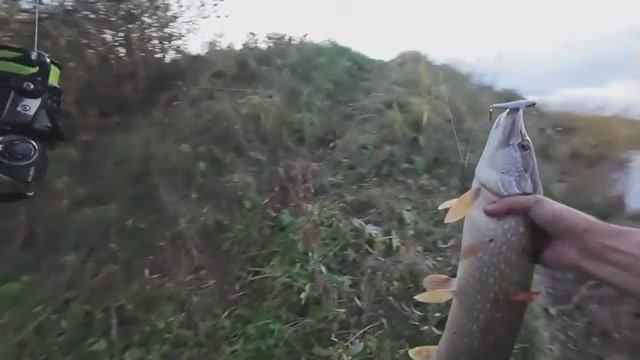 Что будет? Звездная щука !!! На спиннинг.