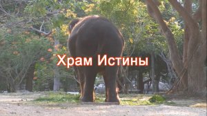 Храм Истины