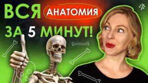 АНАТОМИЯ за 5 минут ｜ TutorOnline