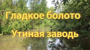 Город Новосибирск, Гладкое болото, Утиная заводь. Достопримечательности Новосибирска.