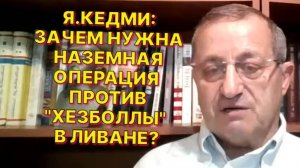 Я.КЕДМИ: У Израиля нет проблем с Ливаном. У Ливана, как и у Израиля, есть проблемы с «Хезболлой»