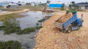 Super!! Bulldozer DumpTruck Processing Showing Job In New Last Update Filling The Land Add More Soi