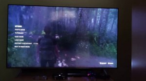 The Last of Us 2 fan noise PS4 Pro